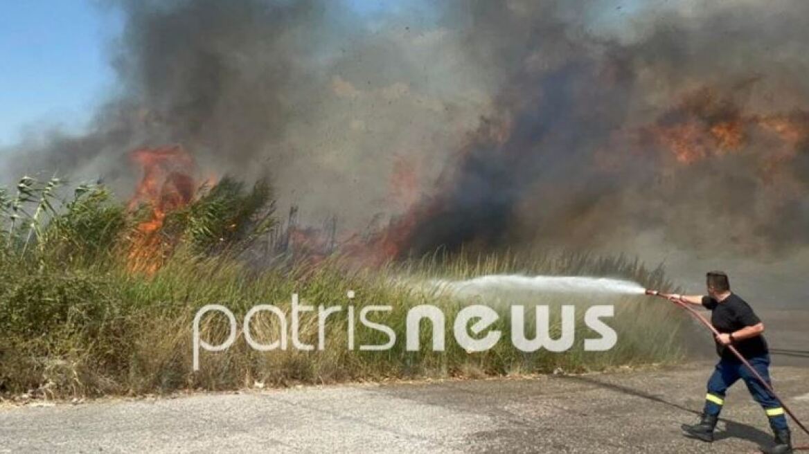 Φωτιά σε δασική έκταση στον Πύργο Ηλείας