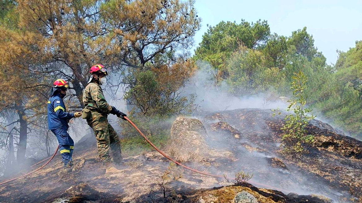 Δαδιά: Μικρότερη απ' ό,τι είχε αρχικά εκτιμηθεί η περιβαλλοντική ζημιά - Δείτε χάρτες