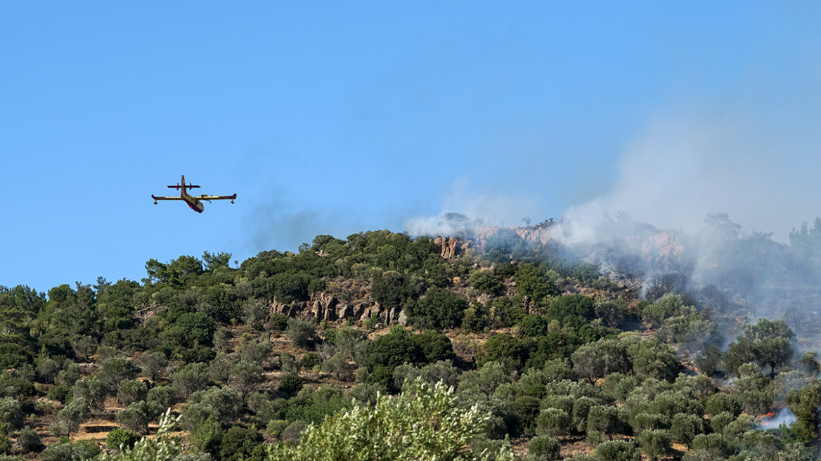 Καιρός: Υψηλές θερμοκρασίες και ενίσχυση βόρειων ανέμων - Πού υπάρχει μεγάλος κίνδυνος πυρκαγιάς