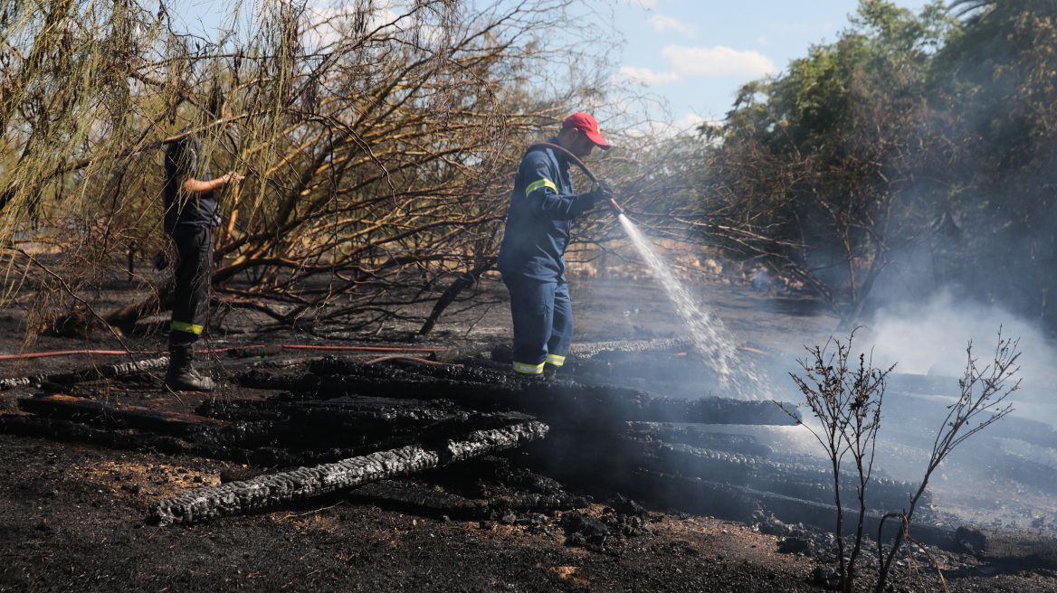 Καιρός: Εκρηκτικός συνδυασμός «hot, dry, windy» - Υψηλός κίνδυνος πυρκαγιάς