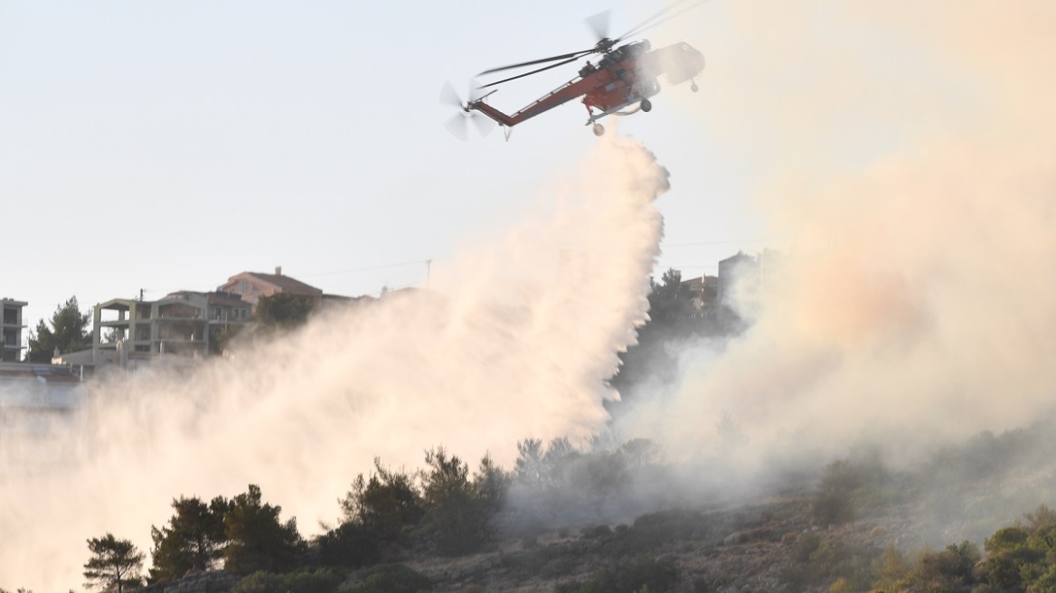 Φωτιά τώρα στην Κρανιά Σκύδρας - Κινητοποιήθηκαν επίγειες και εναέριες δυνάμεις