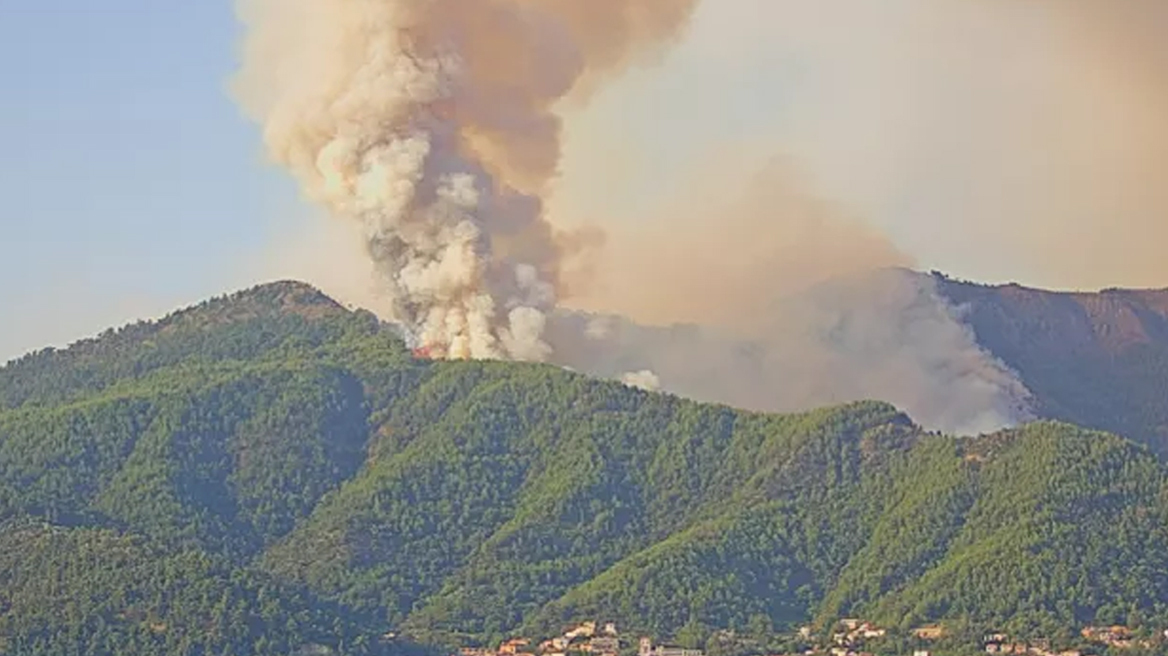 Φωτιά στη Θάσο: Στρατιωτικό κονβόι ενισχύει τις δυνάμεις για την κατάσβεση της πυρκαγιάς