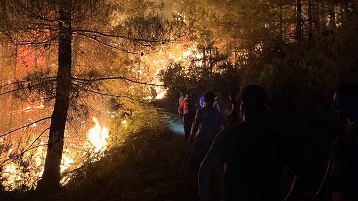 Πυκνό δάσος καίει η φωτιά στη Θάσο - Δείτε βίντεο και φωτογραφίες