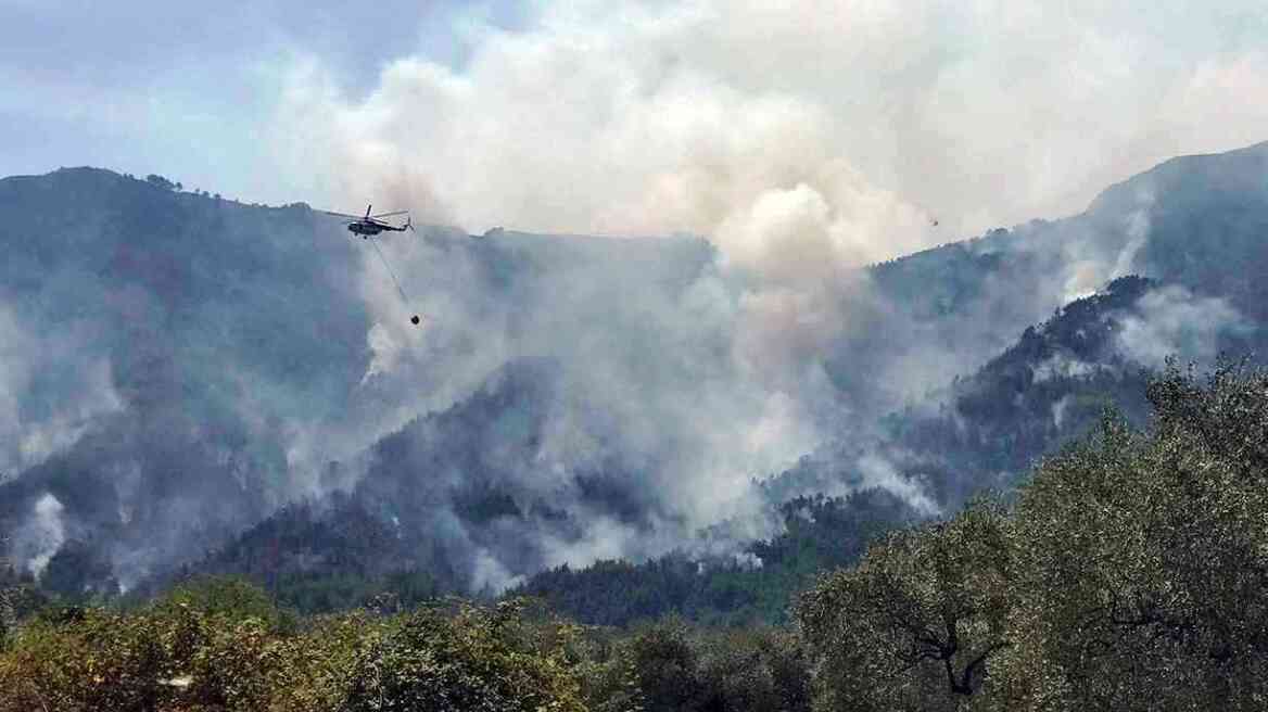 Μάχη με τις φλόγες στη Θάσο - Κάηκαν τα μοναδικά έλατα του νησιού