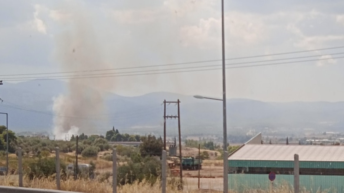 Φωτιά σε χαμηλή βλάστηση στα Οινόφυτα - Αποκαταστάθηκε η κυκλοφορία των τρένων