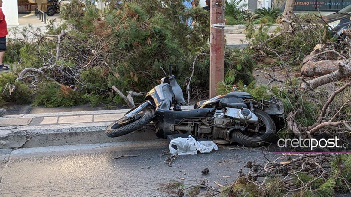 Συγκινεί η σύζυγος του 50χρονου που καταπλακώθηκε από δέντρο: 30 χρόνια μαζί με 3 παιδιά, να σε χάσω με τρόπο που δεν μπορώ να πιστέψω