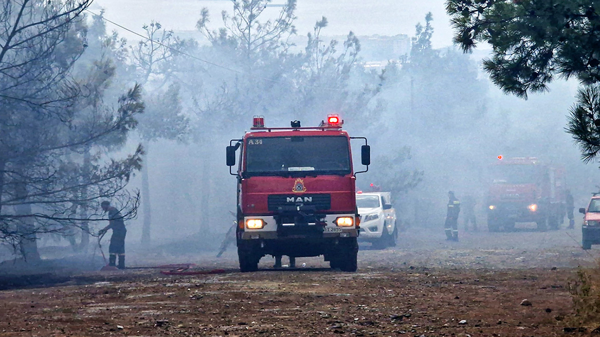 Οριοθετήθηκε η φωτιά στο Σέιχ Σου - Έκαψε 30 στρέμματα - Δείτε βίντεο