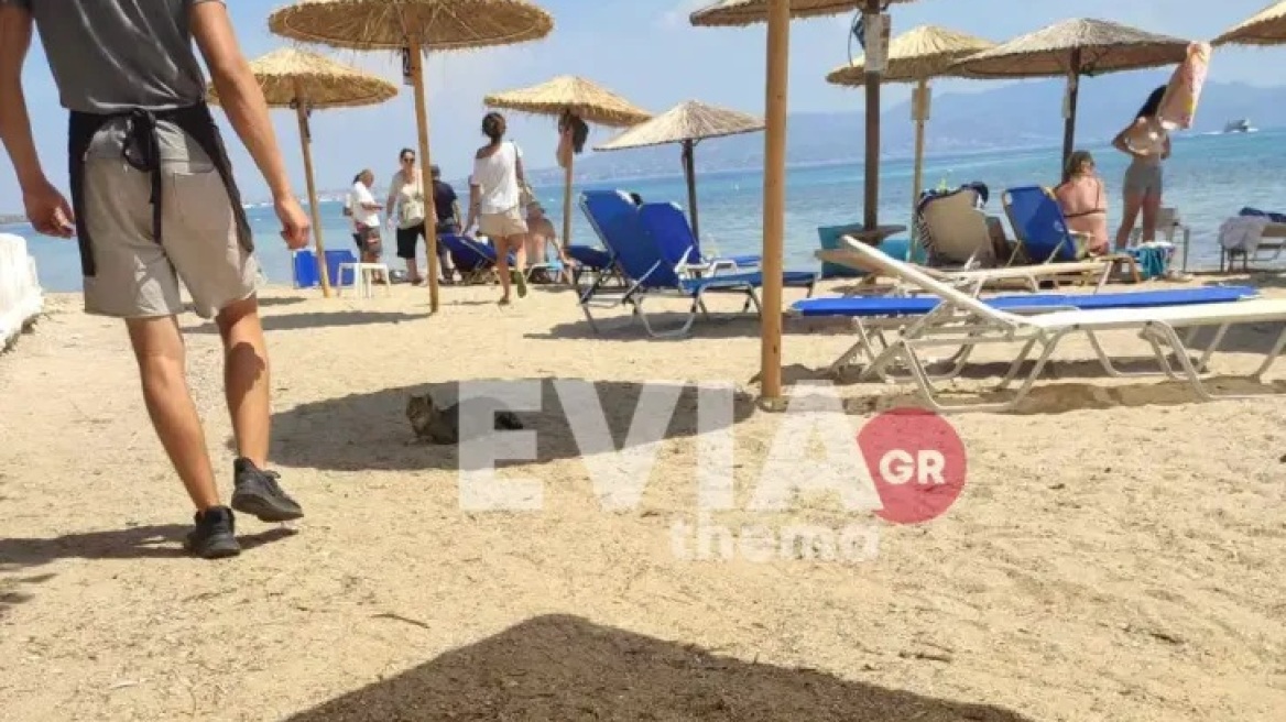 Αγκίστρι: Άντρας ξεψύχησε στην παραλία, μπροστά στη γυναίκα του