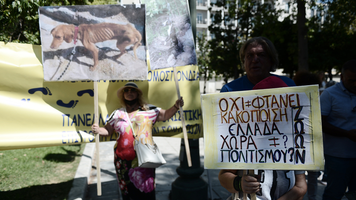 Συγκέντρωση διαμαρτυρίας κατά της κακοποίησης των ζώων στο Σύνταγμα