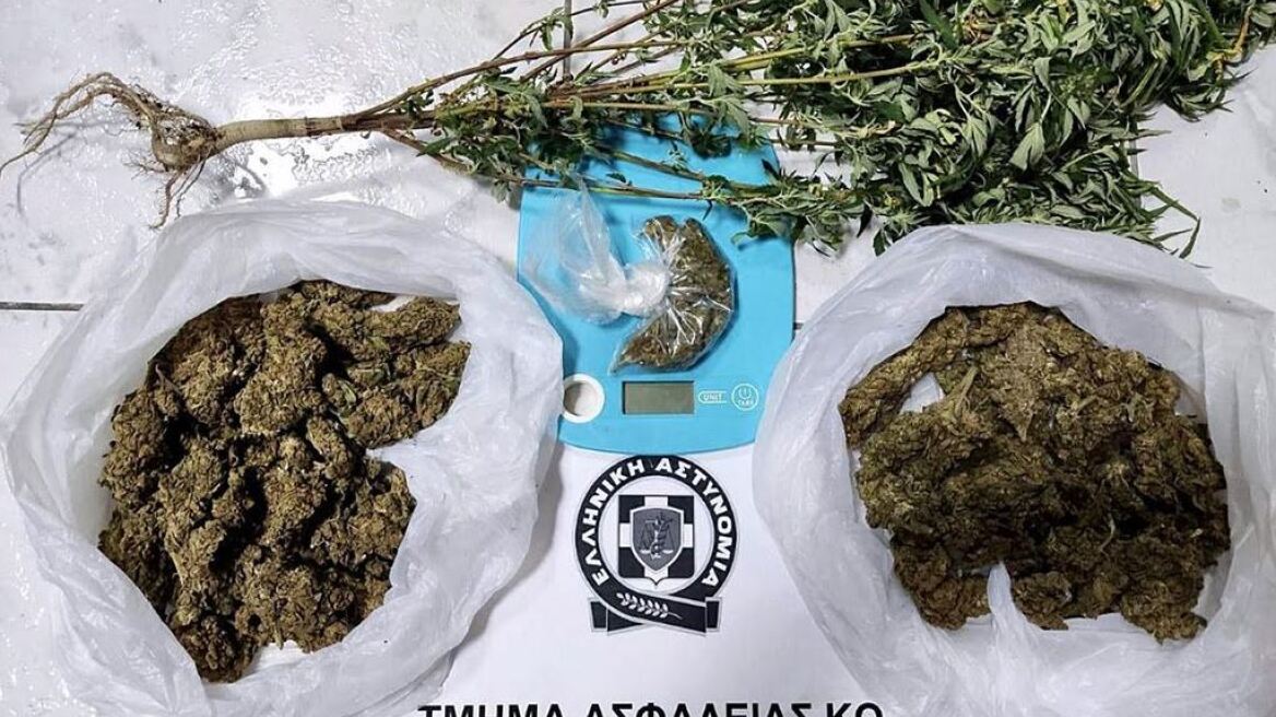 Κως: Δίδυμο καλλιεργούσε και διακινούσε κάνναβη