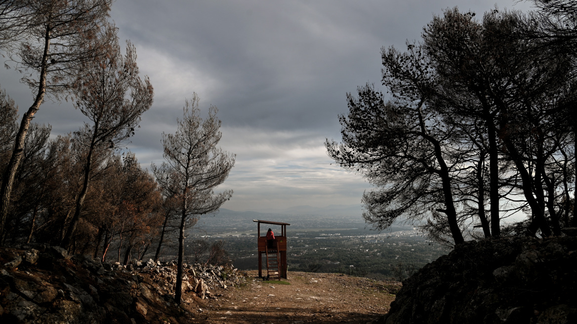 Καιρός: Πέφτει η θερμοκρασία - Πού θα βρέξει