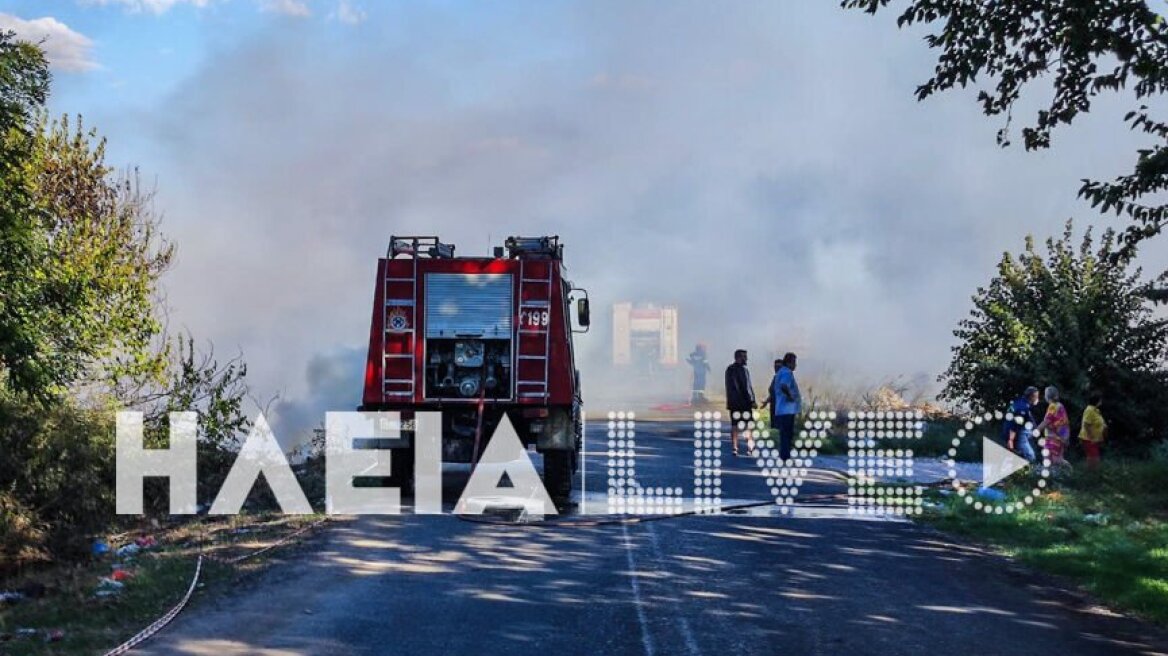 Συναγερμός για φωτιά στο Καβούρι Ηλείας - Κοντά σε σπίτια οι φλόγες 