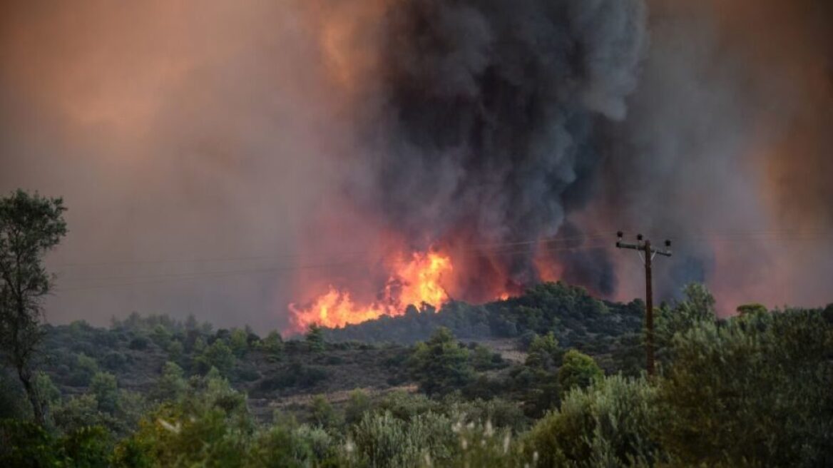 Οριοθετήθηκε η φωτιά σε δασική έκταση στη Λιβαδειά