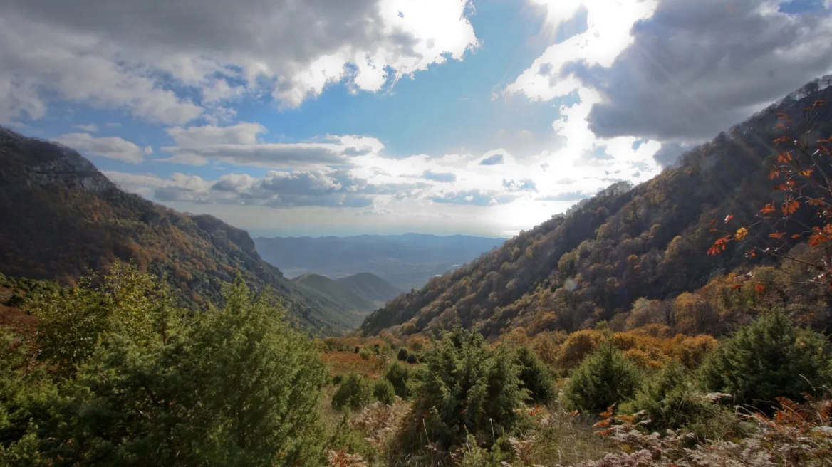 Παραδοσιακά βότανα και σύγχρονη τεχνογνωσία στο Παγγαίο Όρος