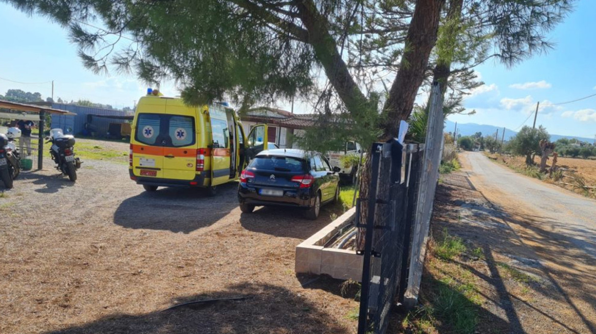 Τραγωδία στη Μεσσηνία: Ψάλτης που αντιμετώπιζε ψυχολογικά προβλήματα ο 81χρονος που σκότωσε τη σύζυγό του 