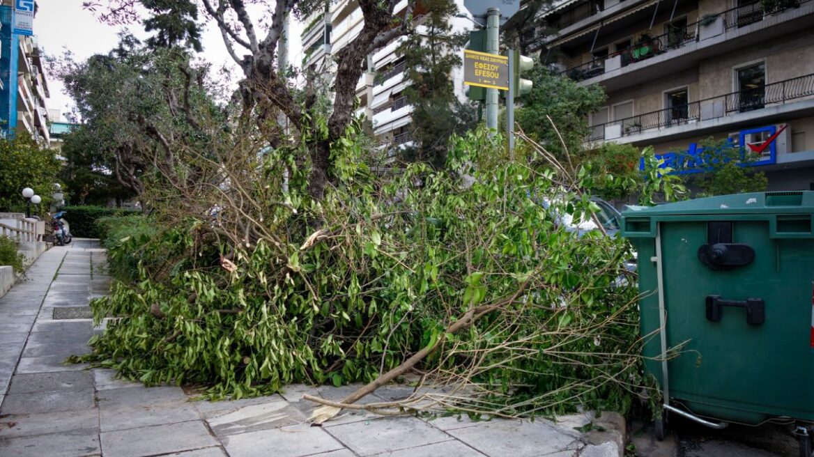 Θεσσαλονίκη: Διακοπές ρεύματος και πτώσεις δέντρων προκάλεσε η «Άριελ»