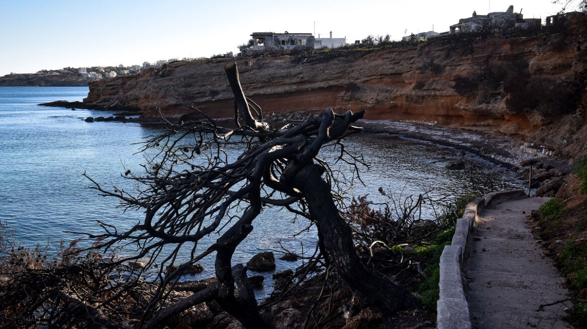 Μάτι: «Η Πυροσβεστική δεν μερίμνησε για συνεχή εναέρια επιτήρηση της φωτιάς» κατέθεσε ο πραγματογνώμονας Λιότσιος