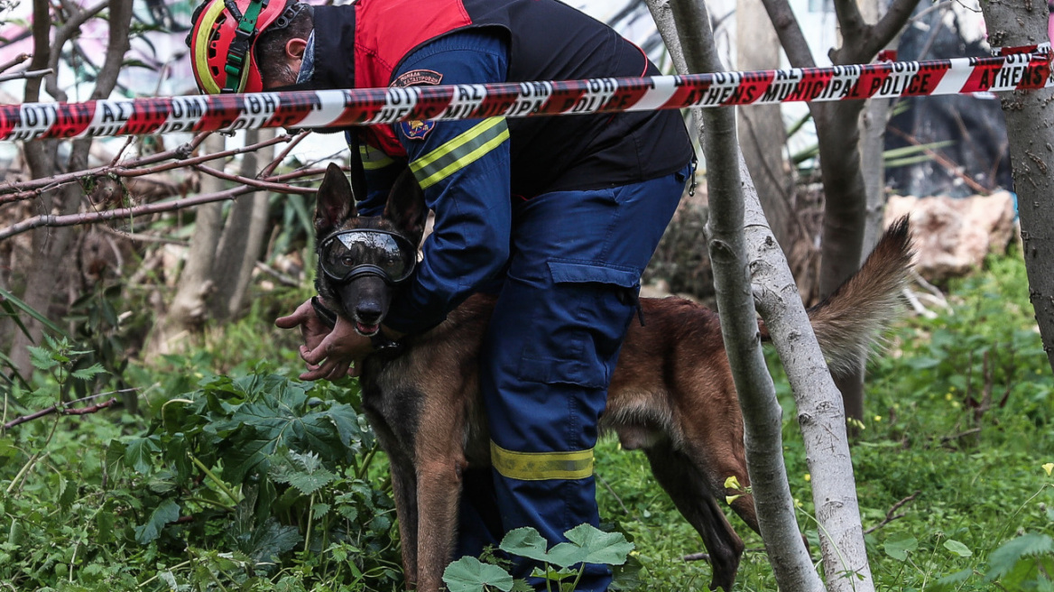 Αχαΐα: Αγωνία για 59χρονο που αγνοείται από το απόγευμα του Σαββάτου - Είχε πάει για μανιτάρια στο βουνό