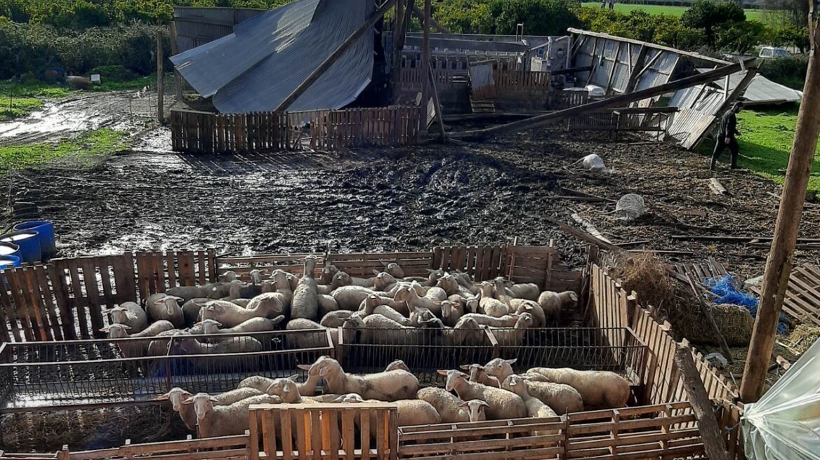 Κακοκαιρία: Ζημιές 30.000 ευρώ από ανεμοστρόβιλο σε κτηνοτροφική μονάδα στο Νεοχώρι Μεσολογγίου