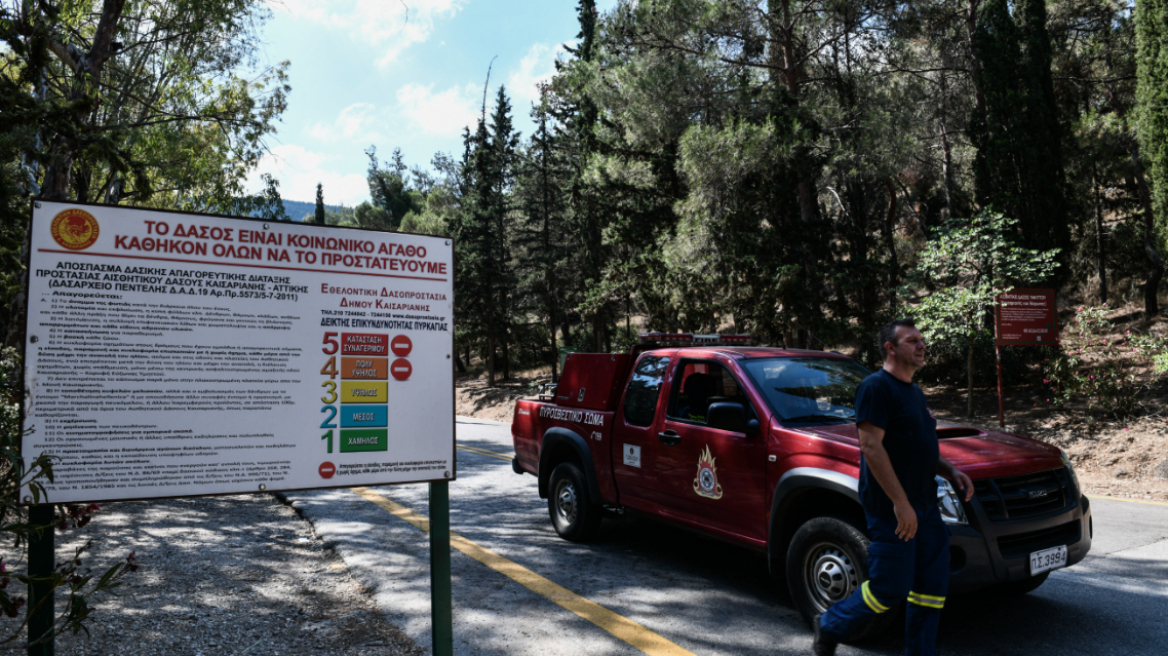 ΣΠΑΥ: Η συνεργασία και η πρόληψη «κλειδιά» για την προστασία και τη σωτηρία των δασών