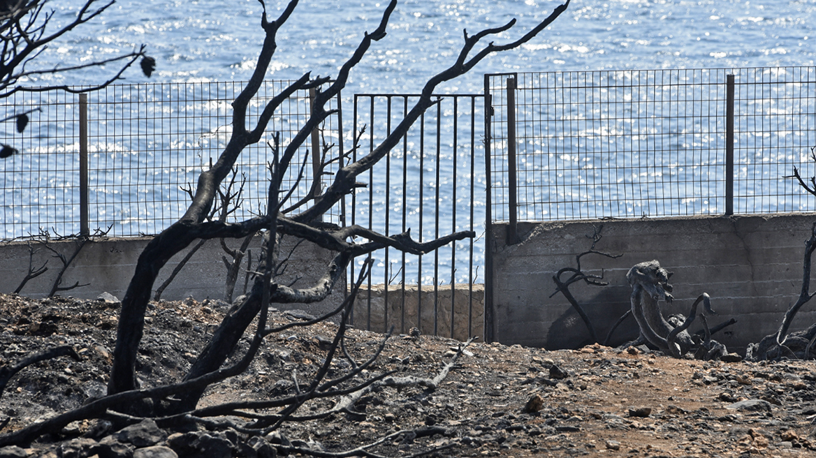 Δίκη για Μάτι: «Ήταν σαν την καταστροφή της Σμύρνης» κατέθεσε η ιδιοκτήτρια του οικοπέδου όπου απανθρακώθηκαν 26 άτομα