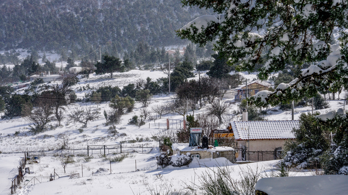 Κακοκαιρία: Μέχρι τους -16°C έφτασε η θερμοκρασία σήμερα το πρωί