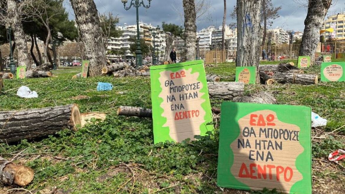 Θεσσαλονίκη: Οικολόγοι διαμαρτύρονται για τις κοπές δέντρων - «Το πράσινο τετέλεσται» (φωτογραφίες)