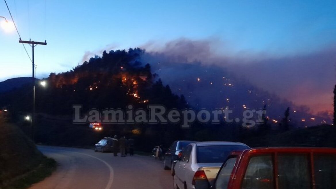 Σε ένα μέτωπο η μεγάλη φωτιά στη Μενδενίτσα - Ενισχύθηκαν οι πυροσβεστικές δυνάμεις