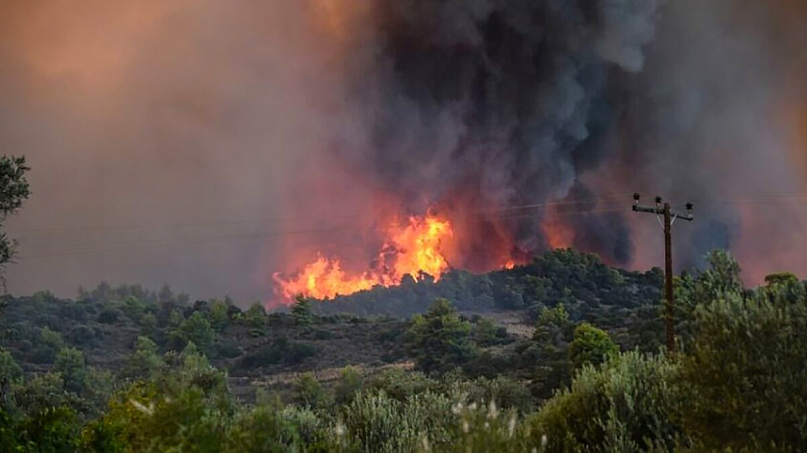 Φθιώτιδα: Οριοθετήθηκαν και οι τέσσερις φωτιές