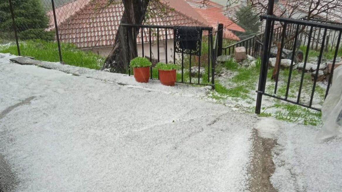 Βίντεο: «Άσπρισε» από το χαλάζι η Βερδικούσια Λάρισας, καταρράκτες τα ρέματα στο Μεσοχώρι Τυρνάβου