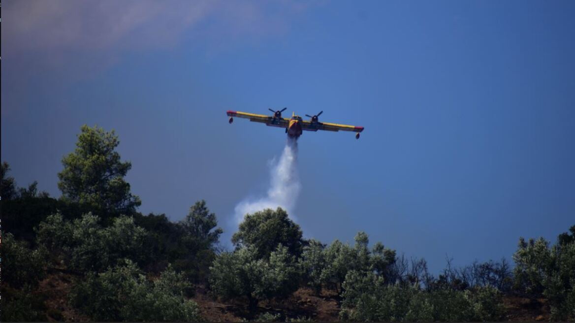 Η αντιπυρική περίοδος ξεκινά τη Δευτέρα - Μέχρι αύριο οι καθαρισμοί των οικοπέδων