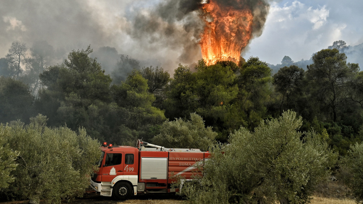 Η τεχνητή νοημοσύνη στη μάχη για την πρόληψη απέναντι στις δασικές πυρκαγιές