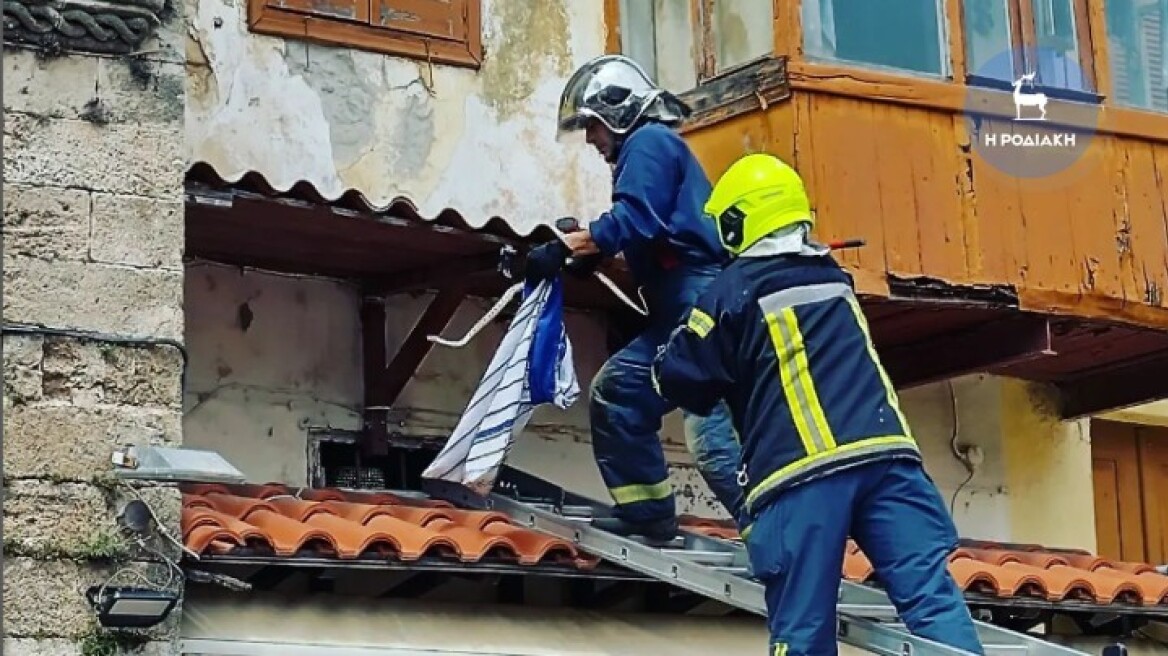 Ρόδος: Αναστάτωση για τεράστιο φίδι που κρεμόταν πάνω από τα κεφάλια τουριστών