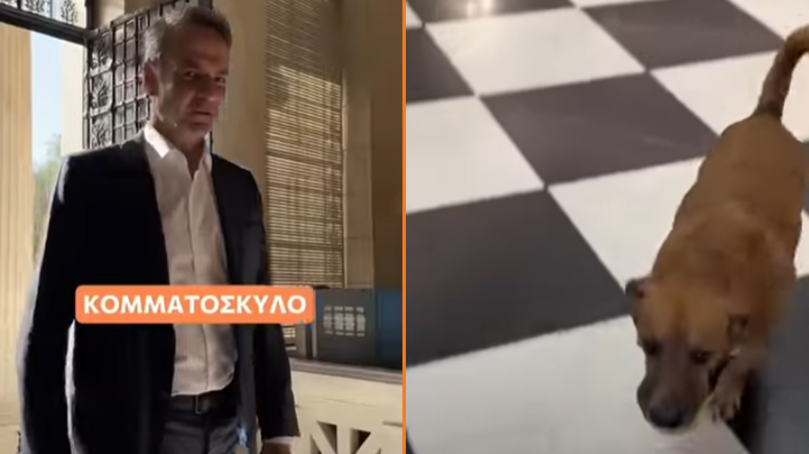 Εκλογές 2023: Το Reuters «γοητεύτηκε» από το TikTok των Ελλήνων πολιτικών - Πώς θα κερδίσουν τη «χαμένη γενιά»