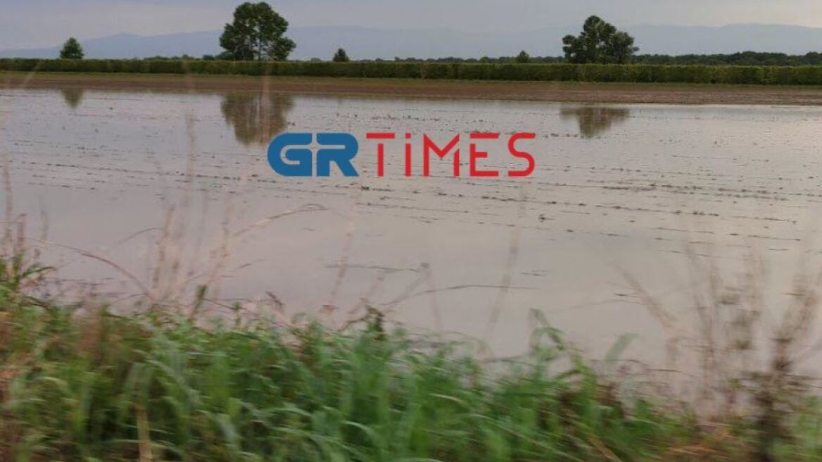 Πέλλα: Το μπουρίνι μετέτρεψε τα χωράφια σε... λιμνοθάλασσες - Καταστράφηκαν οι καλλιέργειες (βίντεο)