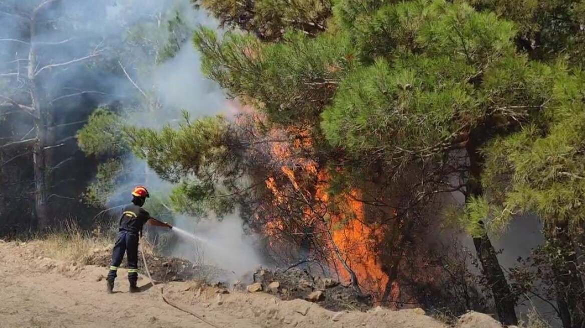 Υπό έλεγχο η φωτιά στην Ψάθα - Δεν απειλήθηκαν κατοικίες - Βίντεο