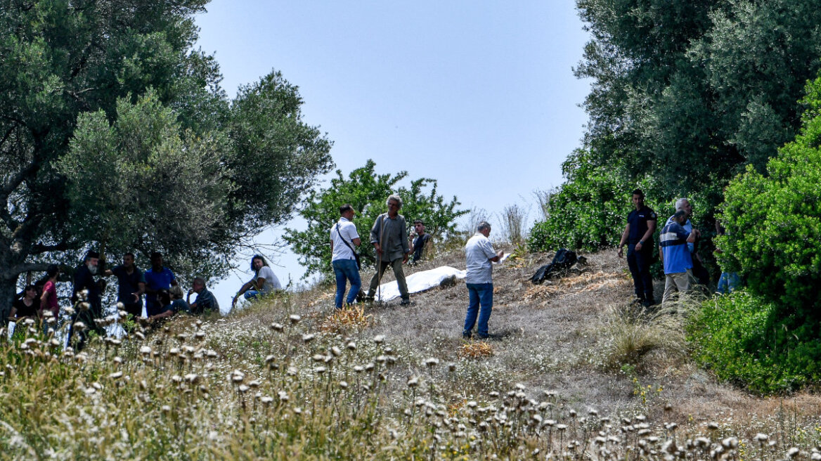 Ηλεία: Τα πρόβατα του θύματος που έβοσκαν στο χωράφι του 83χρονου δράστη αιτία του φονικού