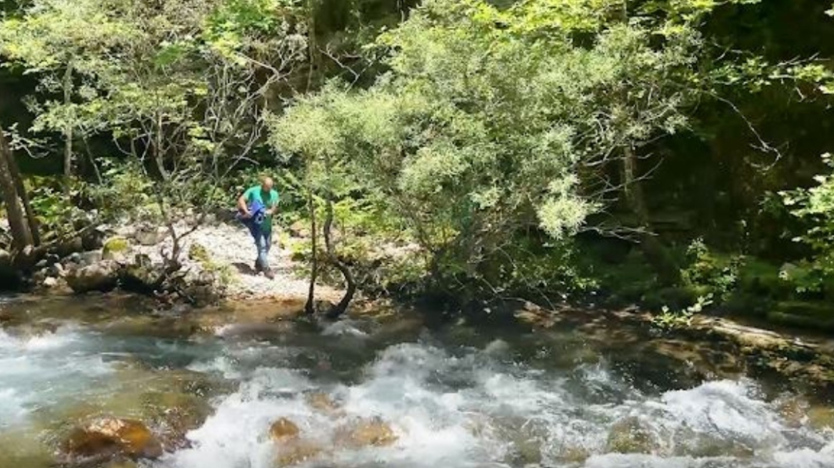 Ιωάννινα: Απεγκλώβισαν τραυματισμένο νεαρό ζαρκάδι - Δείτε βίντεο