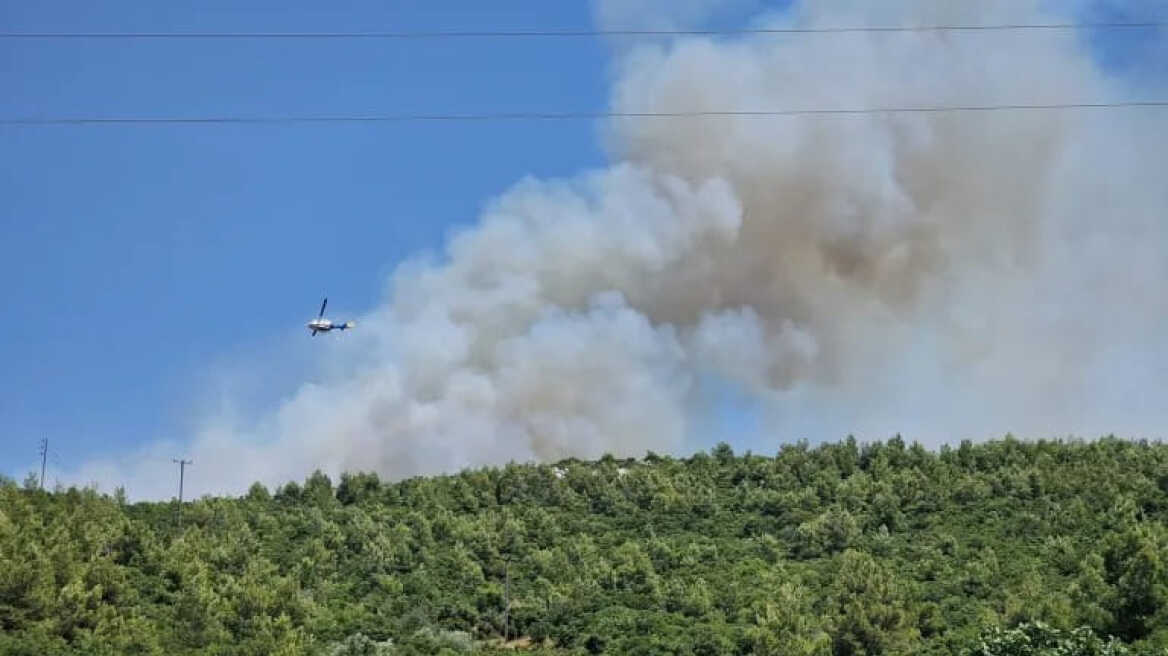 Φωτιά στο Μαρκόπουλο Ωρωπού: Οριοθετήθηκε το πύρινο μέτωπο 