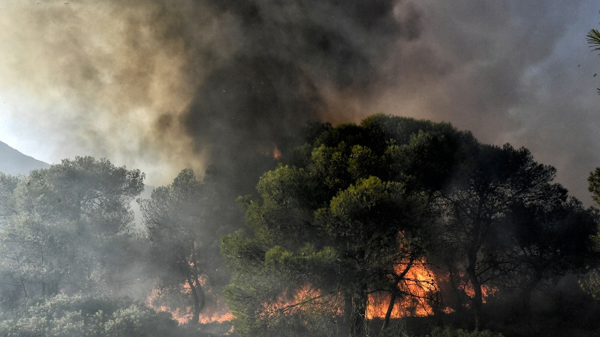 Πολύ υψηλός κίνδυνος πυρκαγιάς τη Δευτέρα για τρεις περιφέρειες της χώρας - Δείτε χάρτη