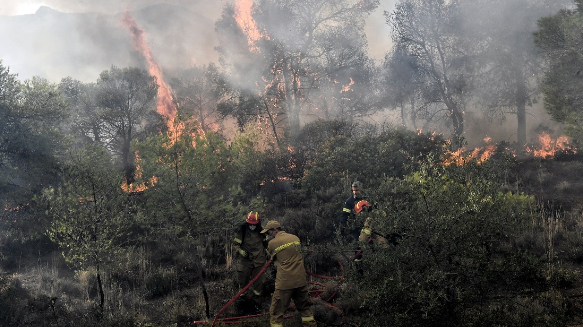 Στις 39 οι δασικές πυρκαγιές το τελευταίο 24ωρο - Πολύ υψηλός κίνδυνος φωτιάς αύριο σε Αττική, Στερεά, Πελοπόννησο, Αιγαίο, Κρήτη