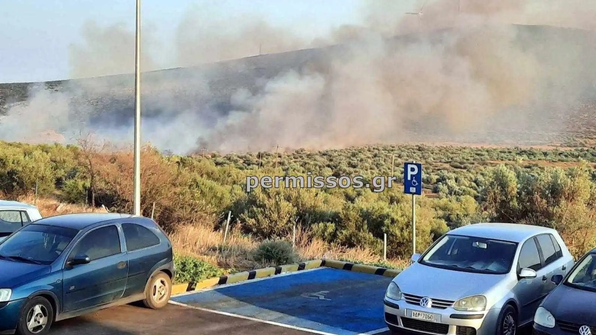 Φωτιά στον Πρόδρομο Βοιωτίας - Δεν απειλεί κατοικημένες περιοχές