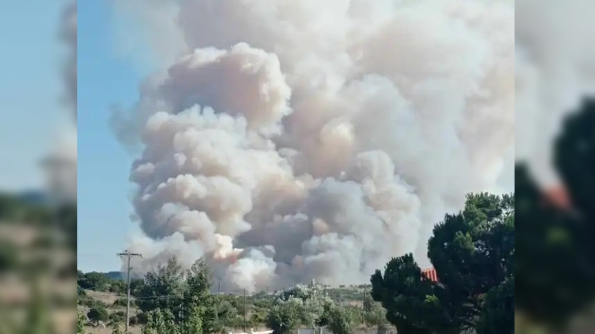 Πυρκαγιά σε δασική έκταση στα Δερβενοχώρια - Μήνυμα από το 112 - Δείτε βίντεο και φωτογραφίες