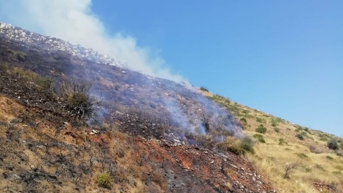 Βασιλίτσι Μεσσηνίας: Υπό μερικό έλεγχο η φωτιά