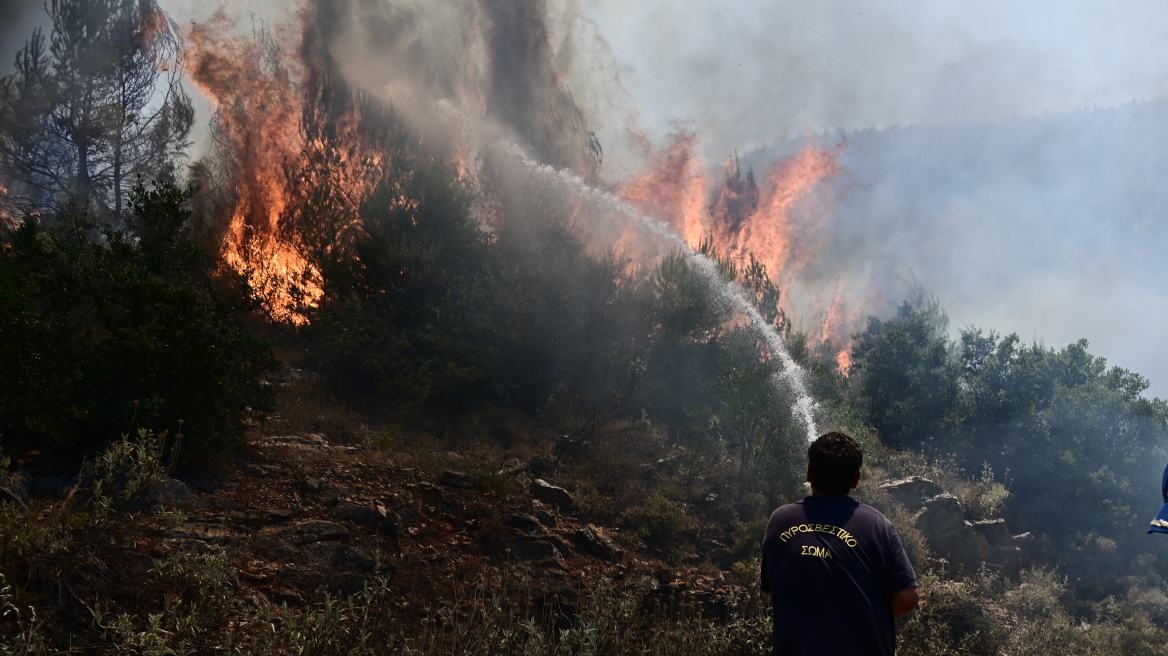 Πυκνό δάσος καίει η φωτιά στον Απόλλωνα της Ρόδου - Δύσκολη η προσπάθεια κατάσβεσης