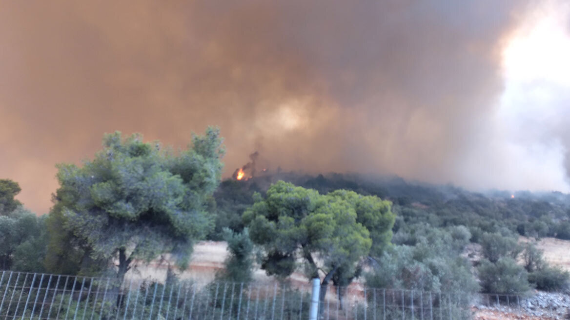 Φωτιά στα Δερβενοχώρια - Πρόεδρος Νέας Ζωής: Έχουν καεί δύο σπίτια 