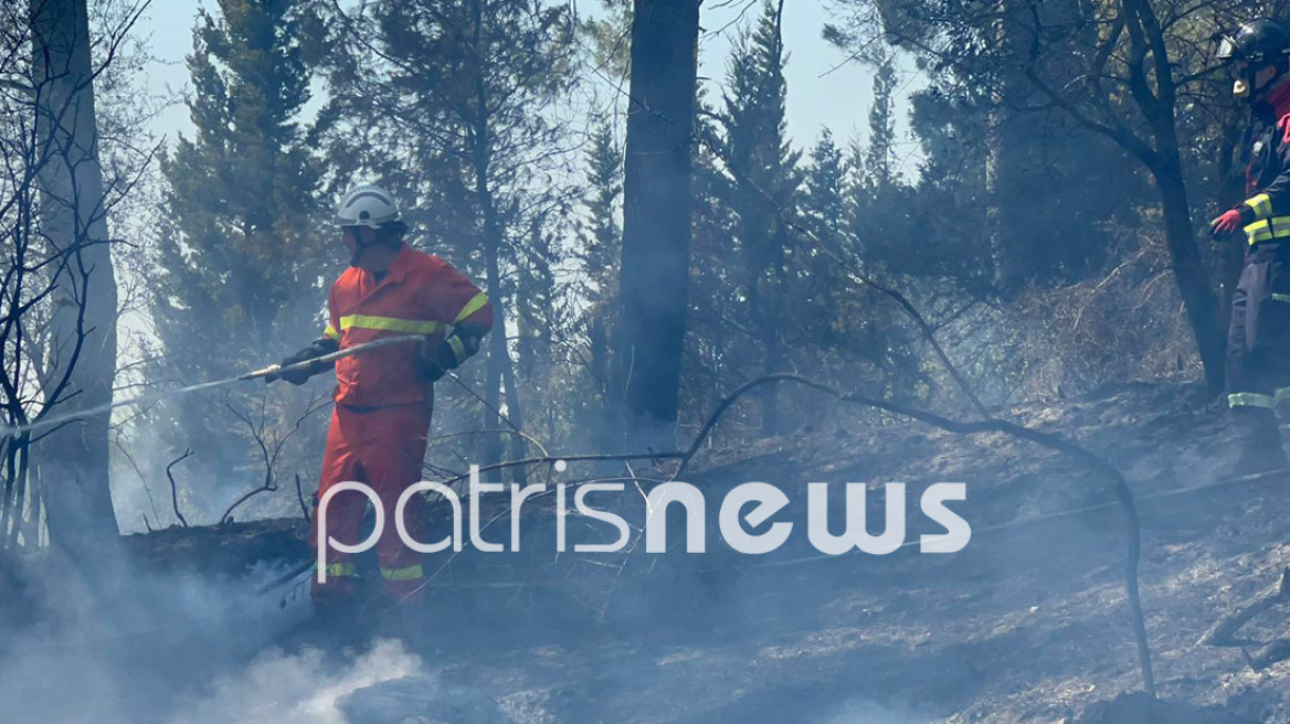 Πυρκαγιά στην Ηράκλεια Ηλείας - Δεν κινδυνεύουν κατοικημένες περιοχές