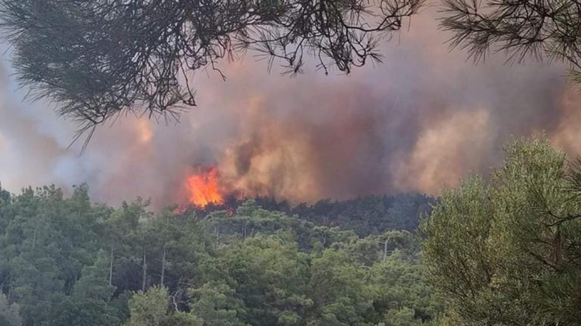 Πυρκαγιά στη Ρόδο: Aναχωρεί C130 με αστυνομικούς της ομάδας ΔΙΑΣ