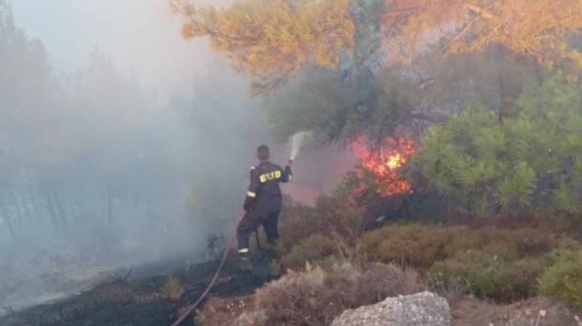 Ρόδος: Σε δύο μέτωπα η φωτιά που καίει παρθένο δάσος - Ένας τραυματίας