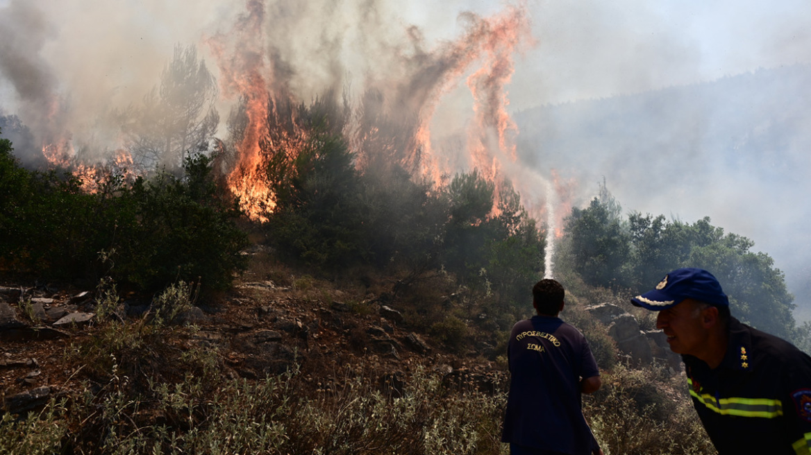 Μεσσηνία: Αδιανόητη δήλωση από τον εμπρηστή - «Με εξιτάρει η κινητικότητα της πυροσβεστικής»